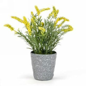 YELLOW POTTED FLOWERS