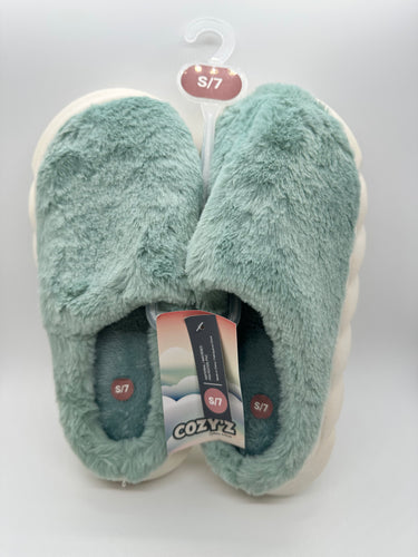 SLIPPERS