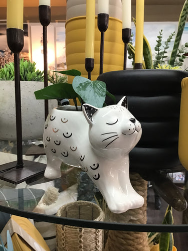 STRETCHING CAT POT