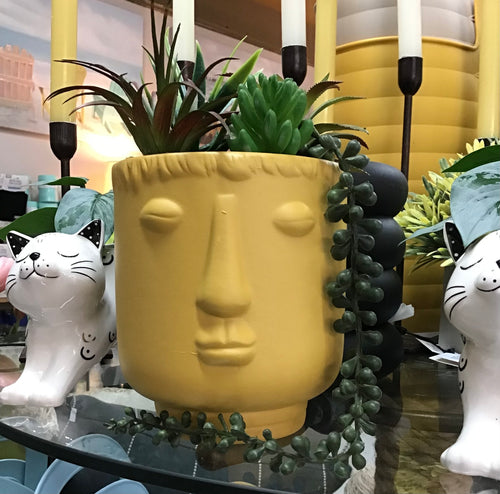 YELLOW SUCCULENT FACE PLANTER