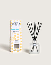 Load image into Gallery viewer, MAISON BERGER BOUQUET REED DIFUSSER