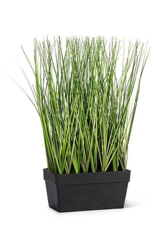 LONG GRASS
