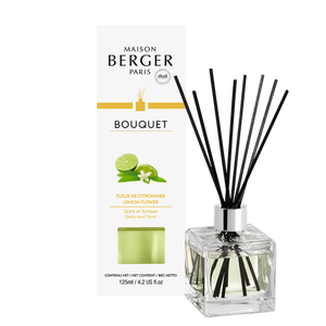 MAISON BERGER REED DIFUSSER