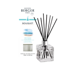 Load image into Gallery viewer, MAISON BERGER REED DIFUSSER