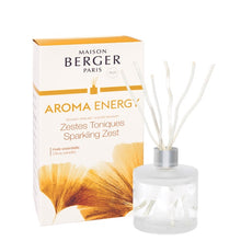 Load image into Gallery viewer, MAISON BERGER REED DIFFUSER