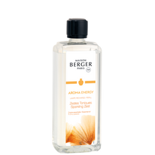 Load image into Gallery viewer, MAISON BERGER 1 LITRE REFILL