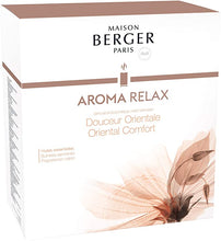 Load image into Gallery viewer, MAISON BERGER MIST DIFFUSER