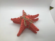Load image into Gallery viewer, 3 STARFISH CORAL