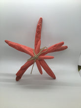 Load image into Gallery viewer, 3 STARFISH CORAL