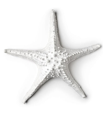 LARGE 3D STARFISH