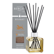 Load image into Gallery viewer, MAISON BERGER REED DIFUSSER