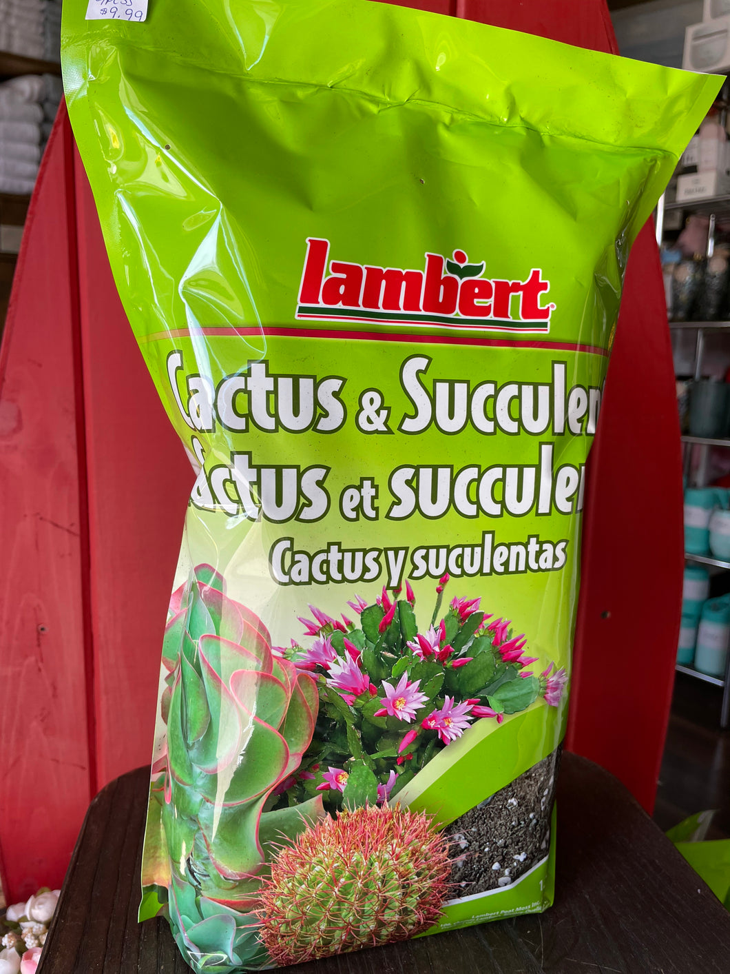 CACTUS AND SUCCULENT SOIL