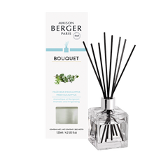 Load image into Gallery viewer, MAISON BERGER REED DIFUSSER