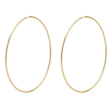 Load image into Gallery viewer, SANNE HOOPS