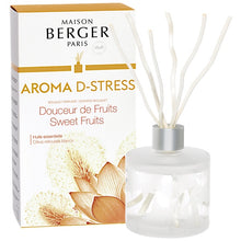 Load image into Gallery viewer, MAISON BERGER REED DIFFUSER